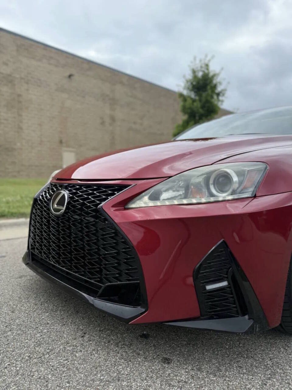 Used 2012 Lexus IS 250 w/ Premium Pkg Value Edition RWD image 4