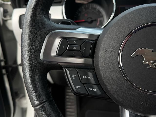 Used 2017 Ford Mustang Premium w/ Equipment Group 201A RWD image 13