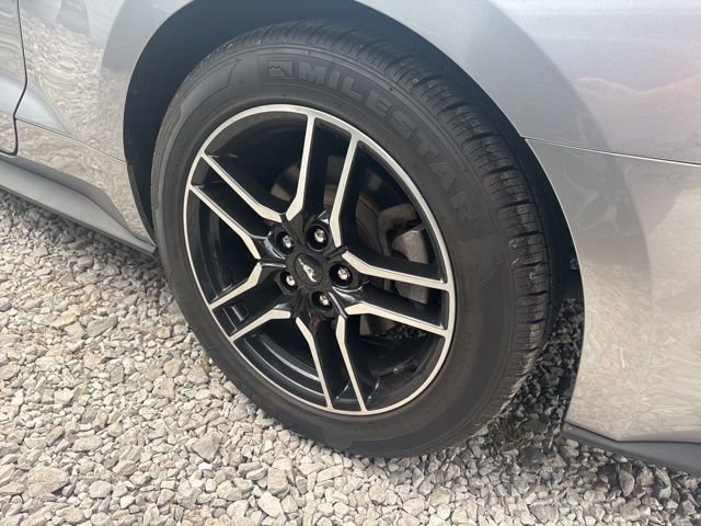 Used 2022 Ford Mustang Premium image 7