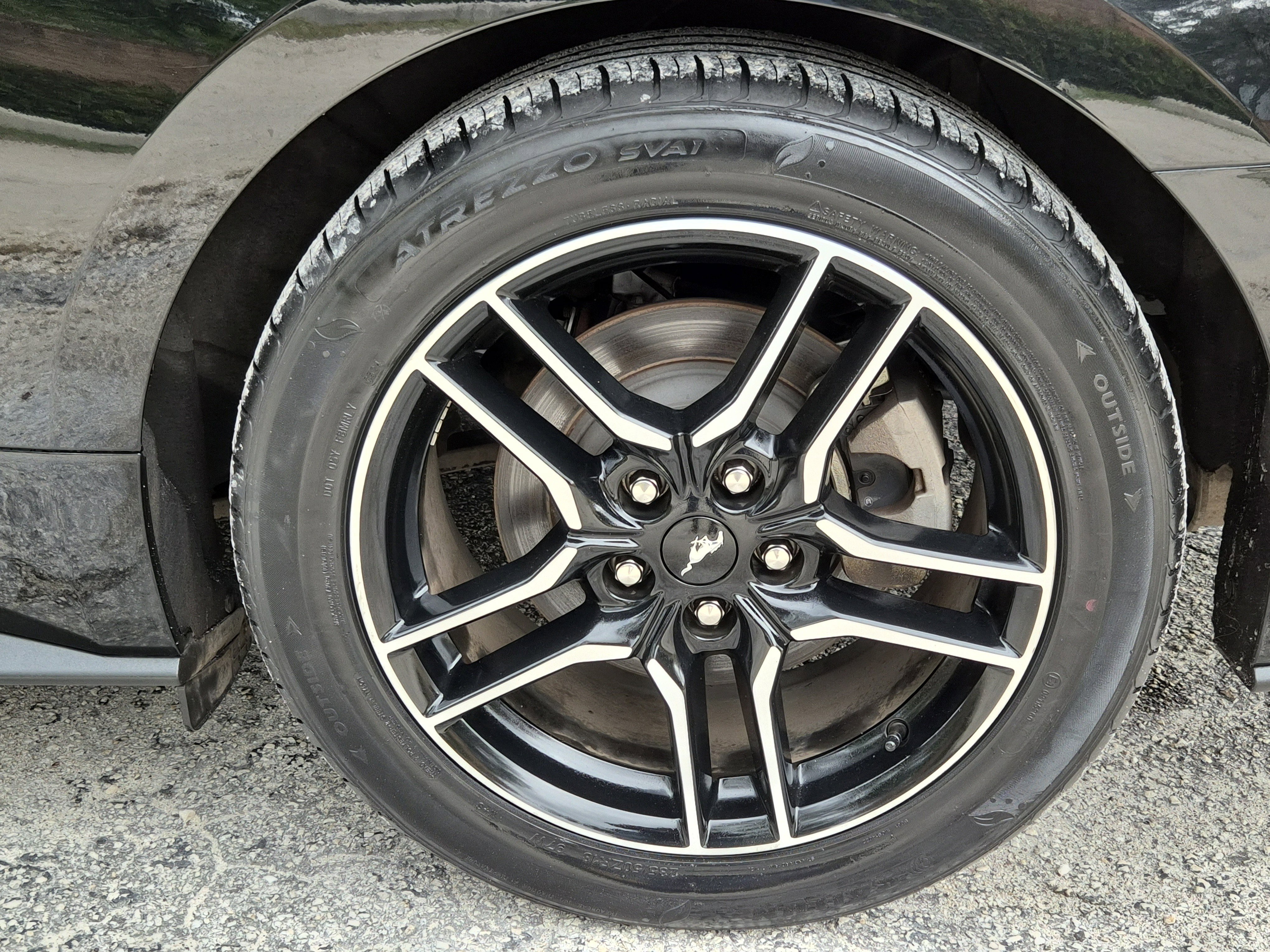 Used 2023 Ford Mustang Premium w/ Equipment Group 201A image 8