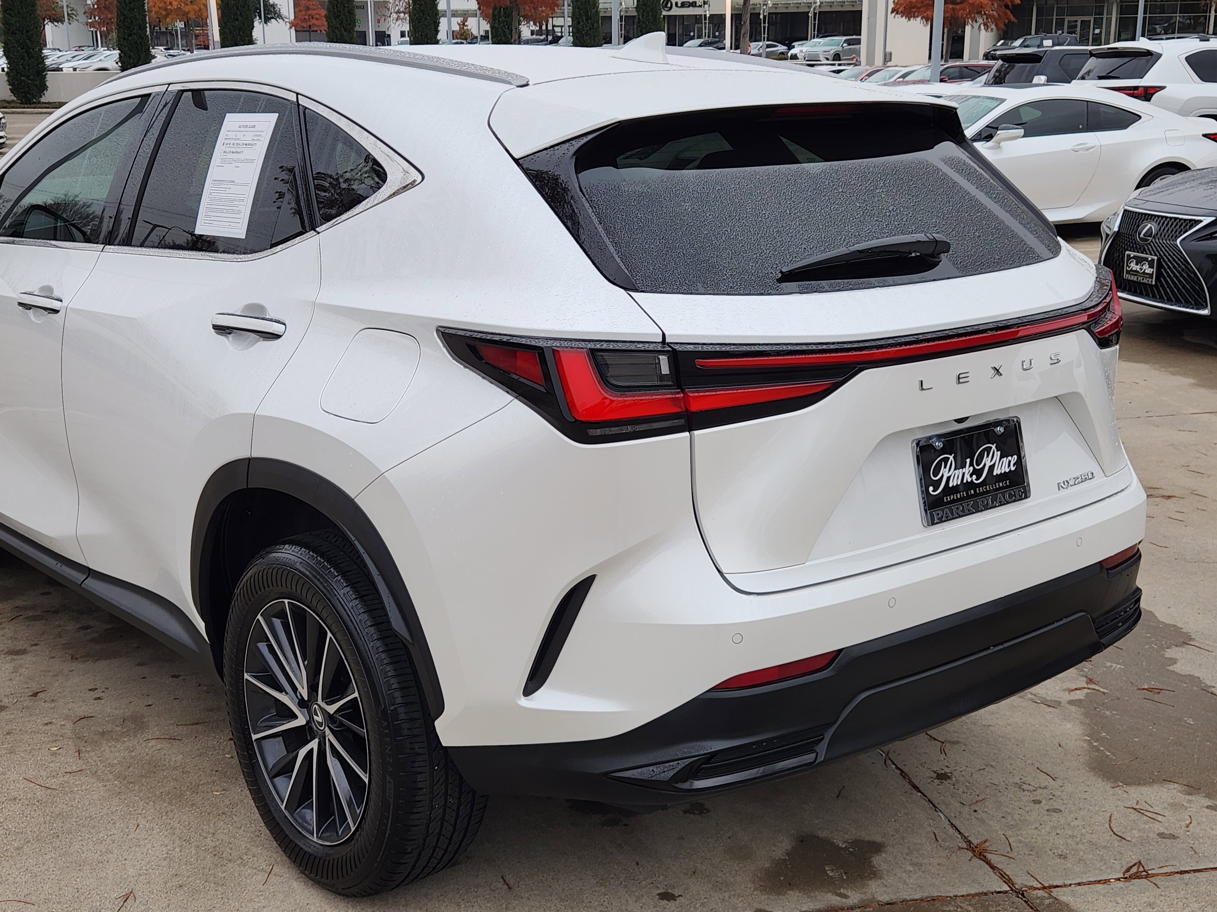 Certified 2024 Lexus NX 250 FWD w/ Premium Package image 11