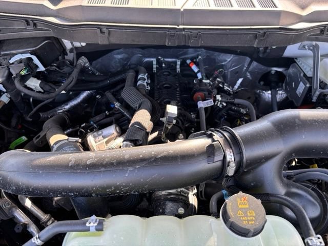 New 2026 Ford F150 XLT w/ Equipment Group 302A MID AWD/4WD image 24