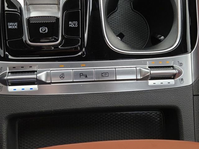 Used 2024 Kia Carnival SX Prestige image 8