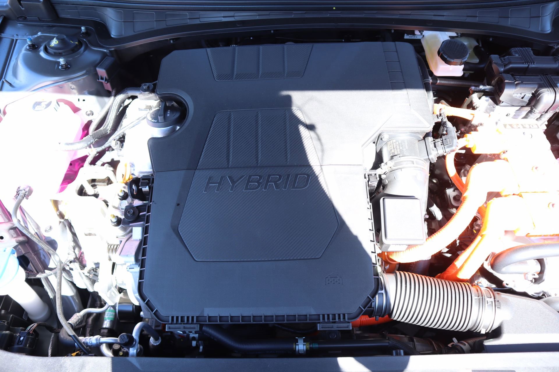 New 2026 Hyundai Elantra Limited image 20