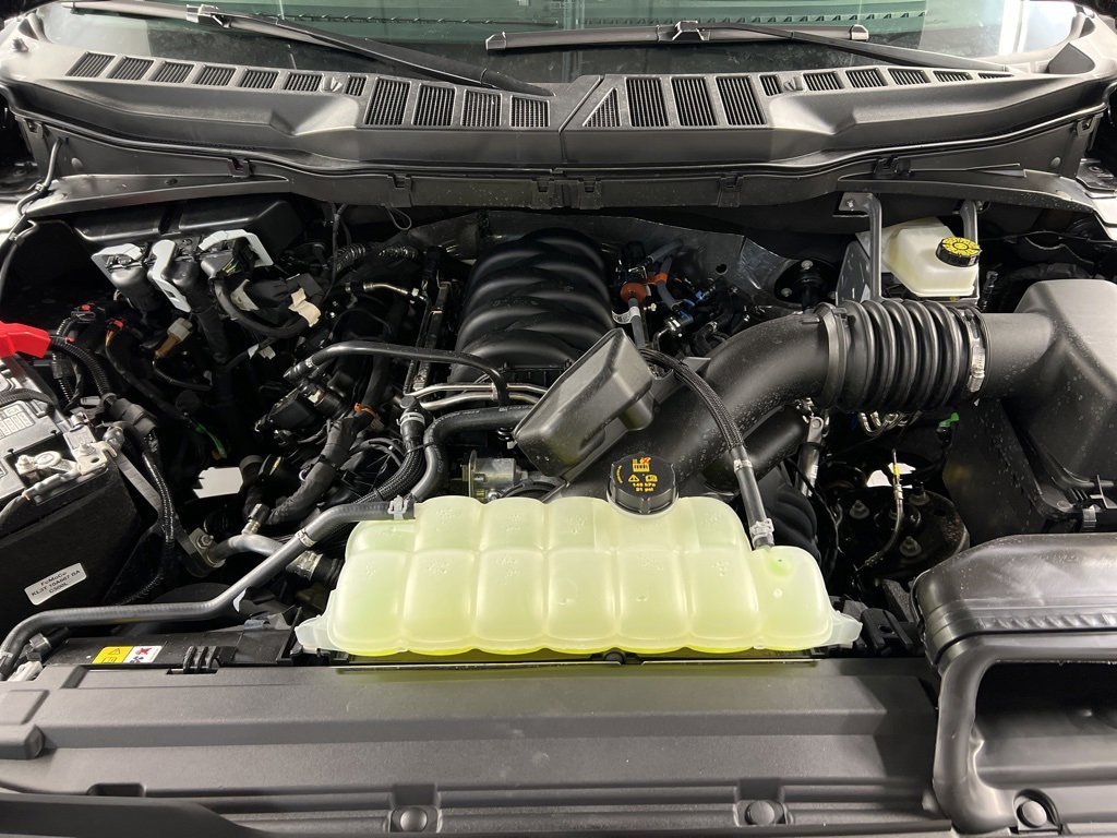 New 2025 Ford F150 XLT w/ Equipment Group 302A MID image 40