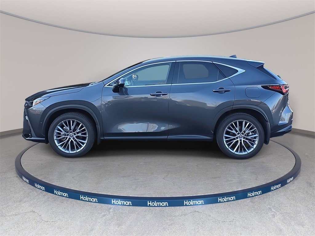 Used 2025 Lexus NX 350h AWD w/ Rear Seat Package image 8