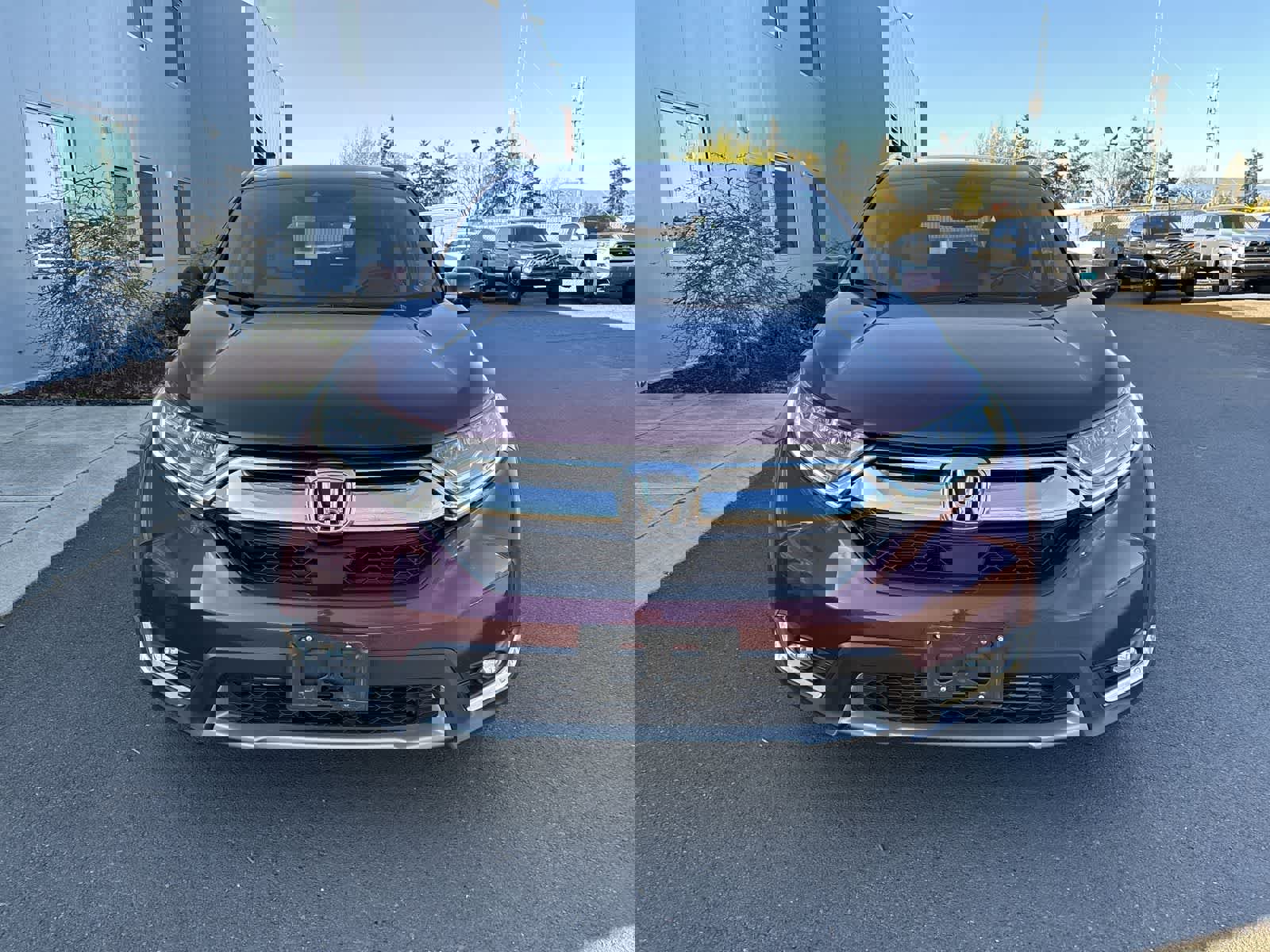 Used 2017 Honda CR-V Touring image 7