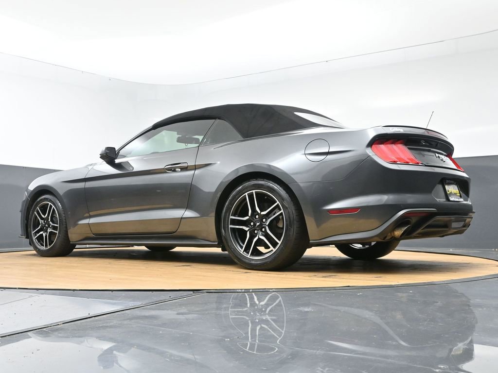 Used 2019 Ford Mustang Premium RWD image 50