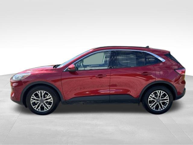 Used 2021 Ford Escape SEL w/ Technology Package FWD image 5