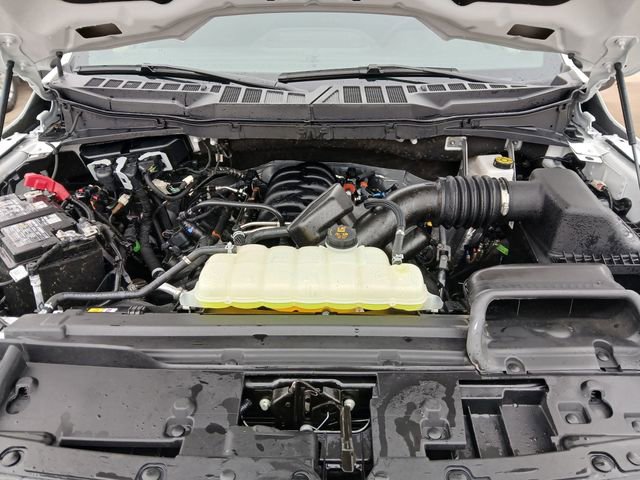 Used 2025 Ford F150 XLT w/ Equipment Group 301A Standard image 35