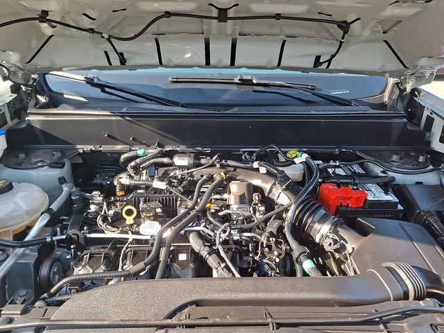 Used 2023 Ford Maverick XLT w/ Equipment Group 300A Standard AWD/4WD image 26