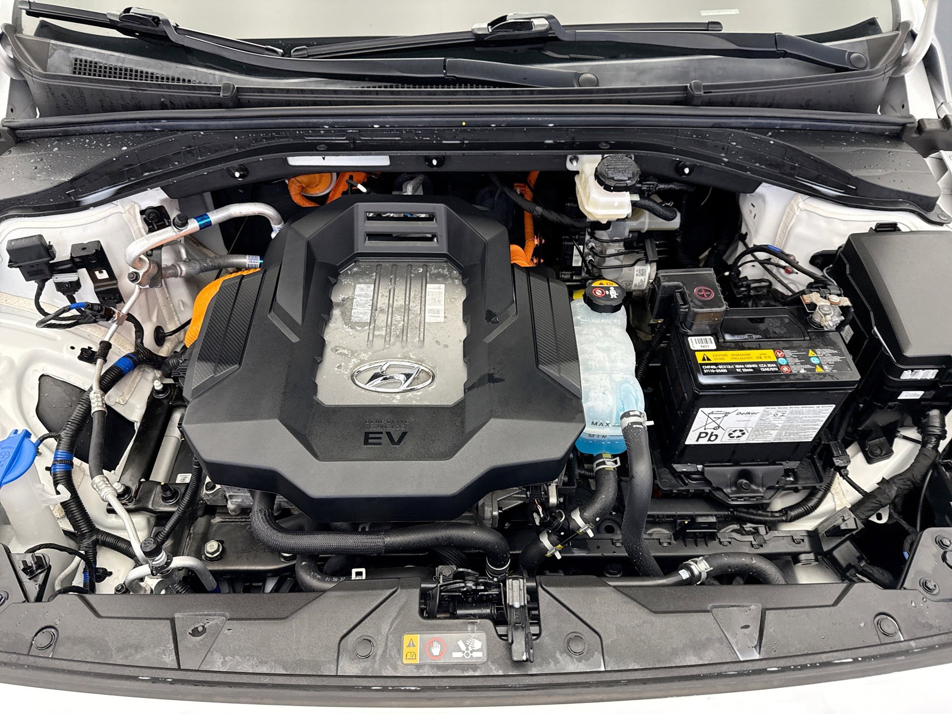 Used 2021 Hyundai Ioniq Limited image 22