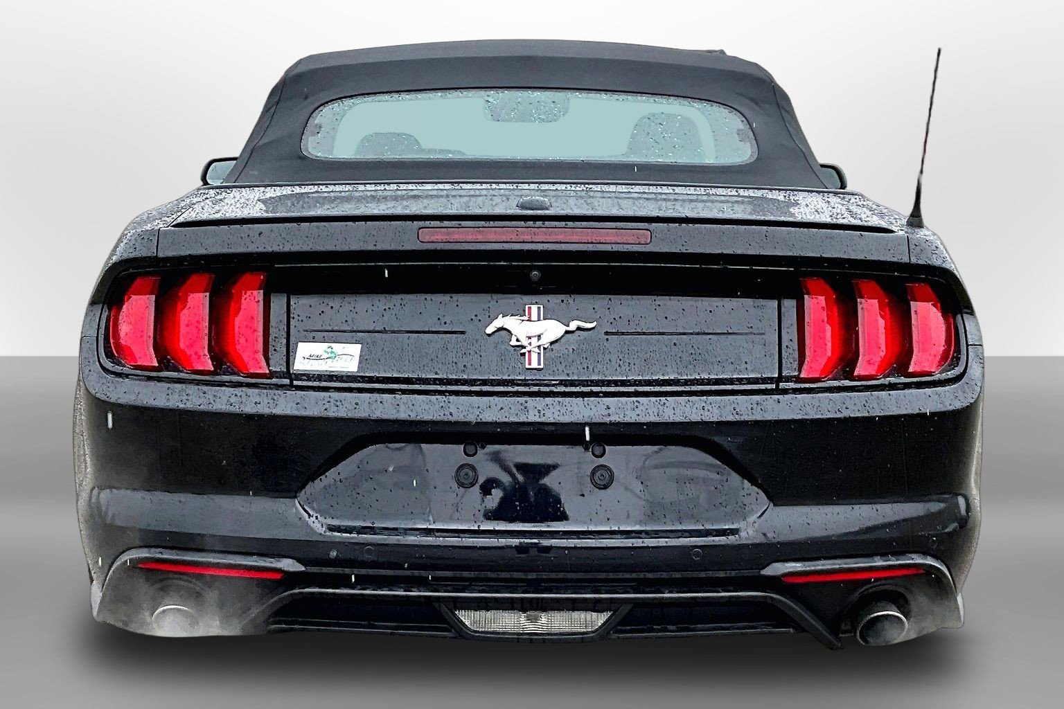 Used 2020 Ford Mustang Premium w/ Equipment Group 201A image 4