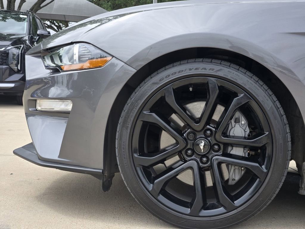 Used 2023 Ford Mustang GT Premium w/ Equipment Group 401A RWD image 14