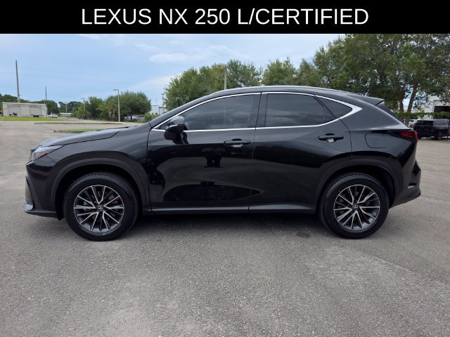 Used 2025 Lexus NX 250 FWD w/ Accessory Package (Z1) image 6