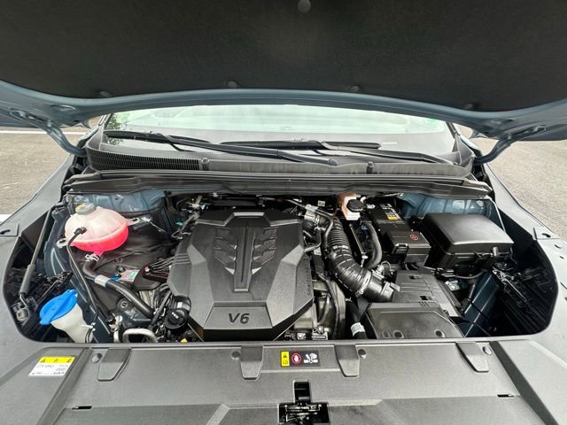 Used 2024 Kia Carnival SX image 15