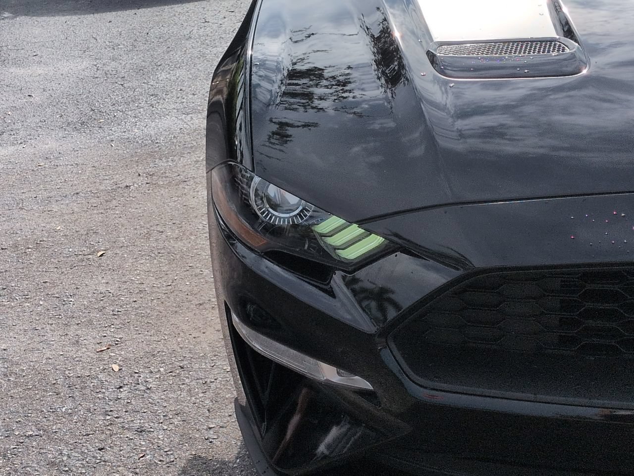 Used 2020 Ford Mustang Premium w/ Equipment Group 201A RWD image 10