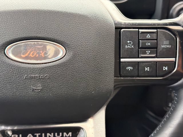 Used 2025 Ford F250 Platinum AWD/4WD image 32
