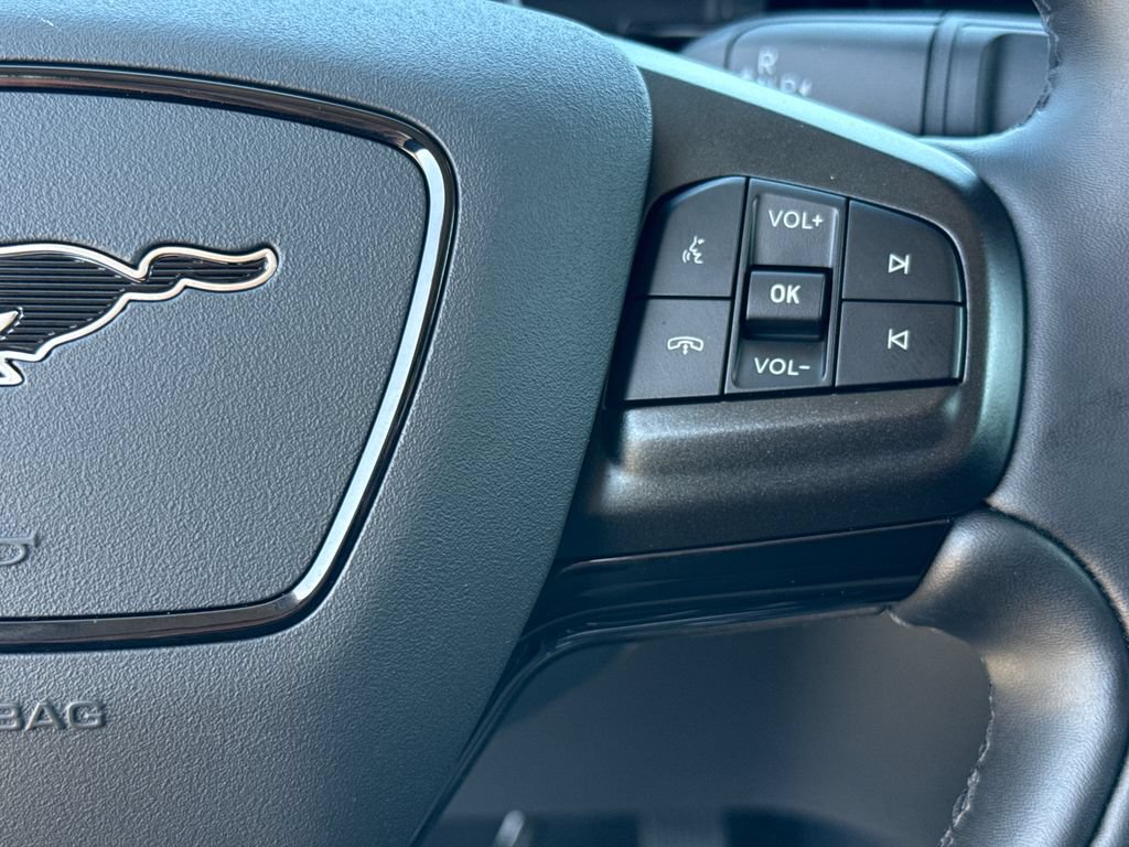 Used 2025 Ford Mustang Mach-E Premium RWD image 17