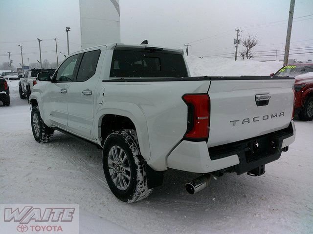 Used 2024 Toyota Tacoma Limited w/ Limited Package (LT) image 5