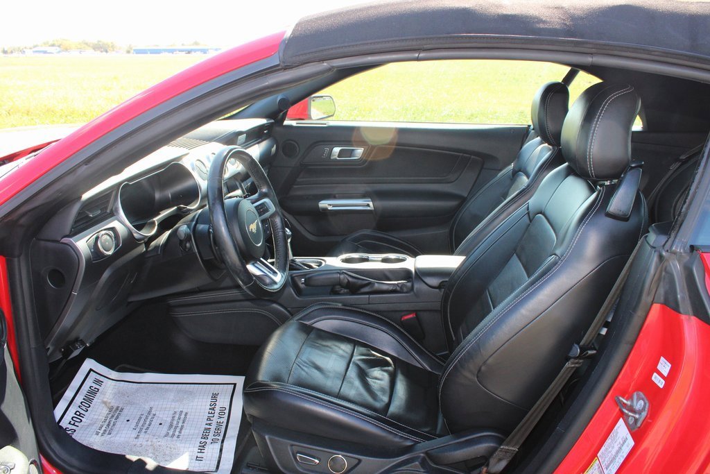 Used 2019 Ford Mustang GT Premium w/ Equipment Group 401A image 9