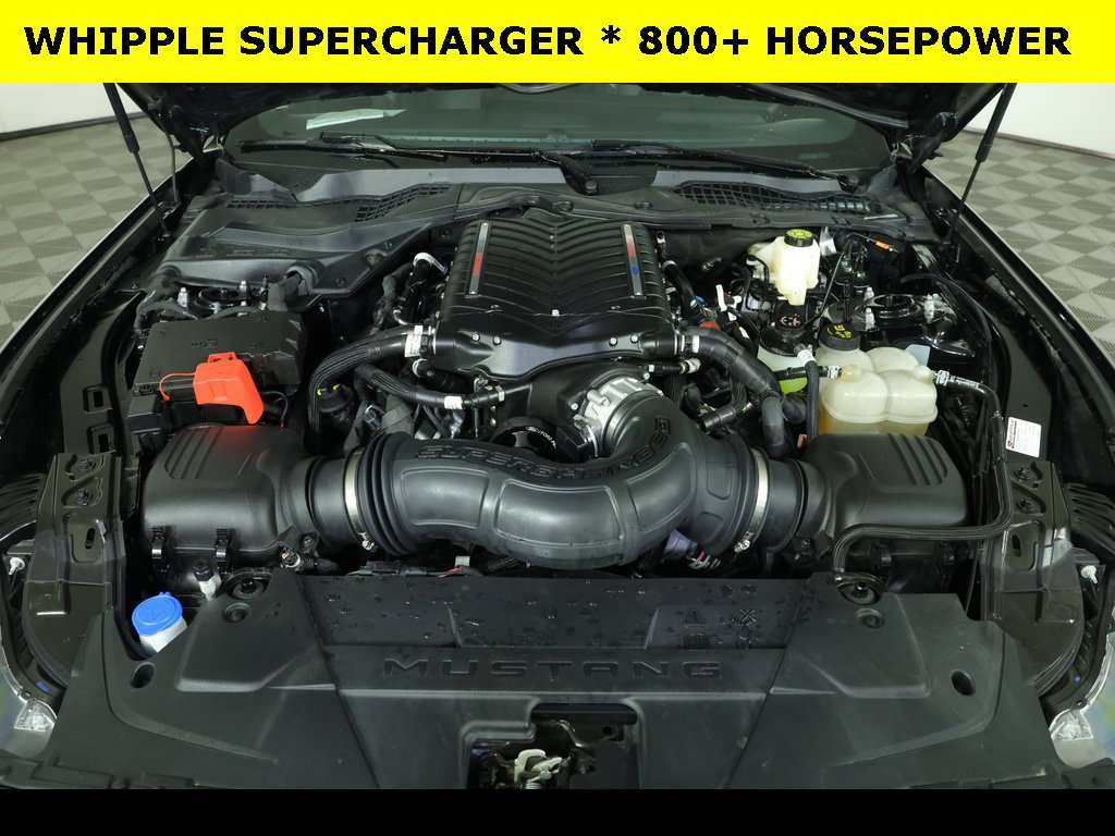 Used 2024 Ford Mustang GT Premium w/ Mustang Nite Pony Package image 2