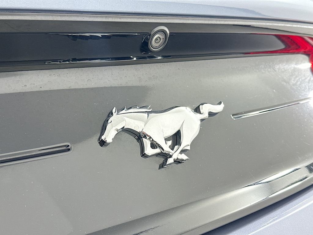 Used 2022 Ford Mustang Premium w/ Equipment Group 201A image 32