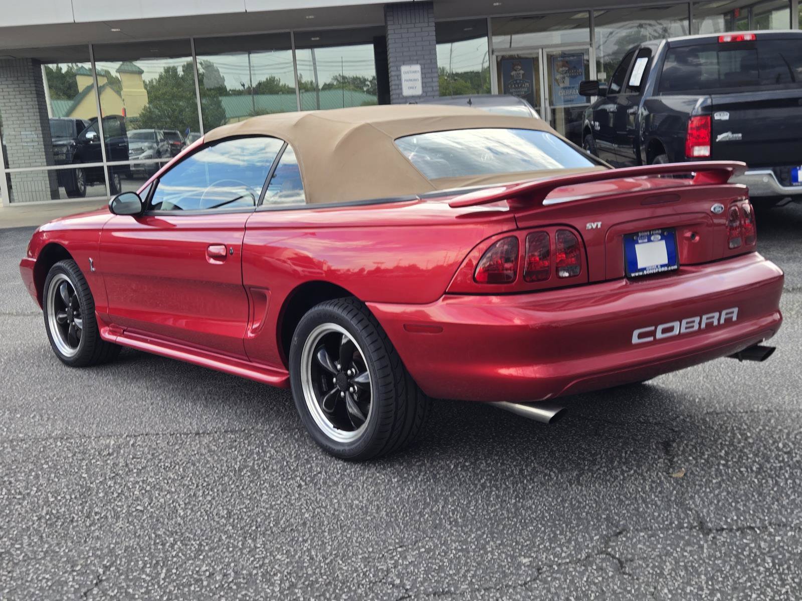 Used 1998 Ford Mustang Cobra RWD image 10