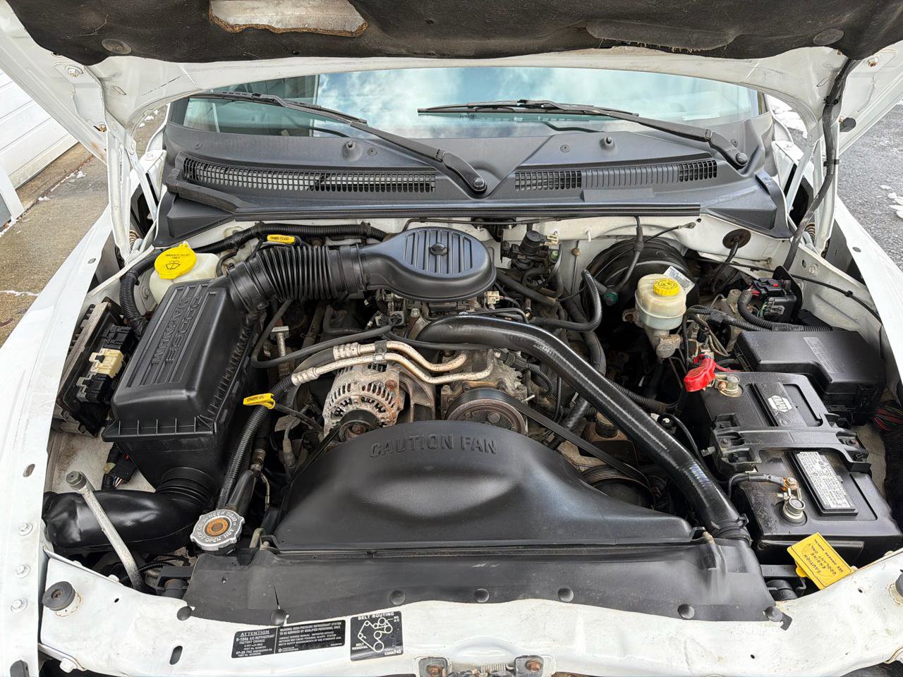 Used 1999 Dodge Dakota SLT image 20