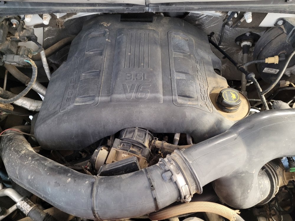 Used 2015 Ford F150 XLT AWD/4WD image 30