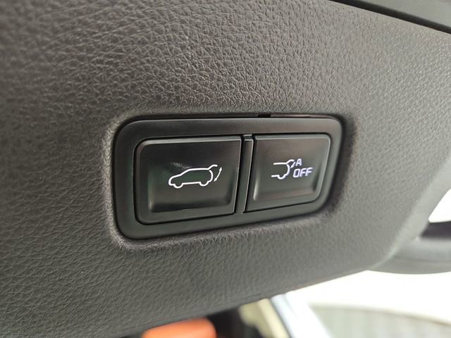 Used 2024 Kia Carnival SX Prestige image 35