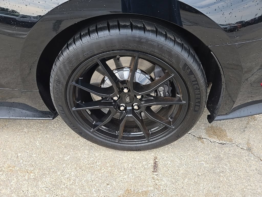 Used 2019 Ford Mustang Shelby GT350 w/ Technology Package RWD image 23
