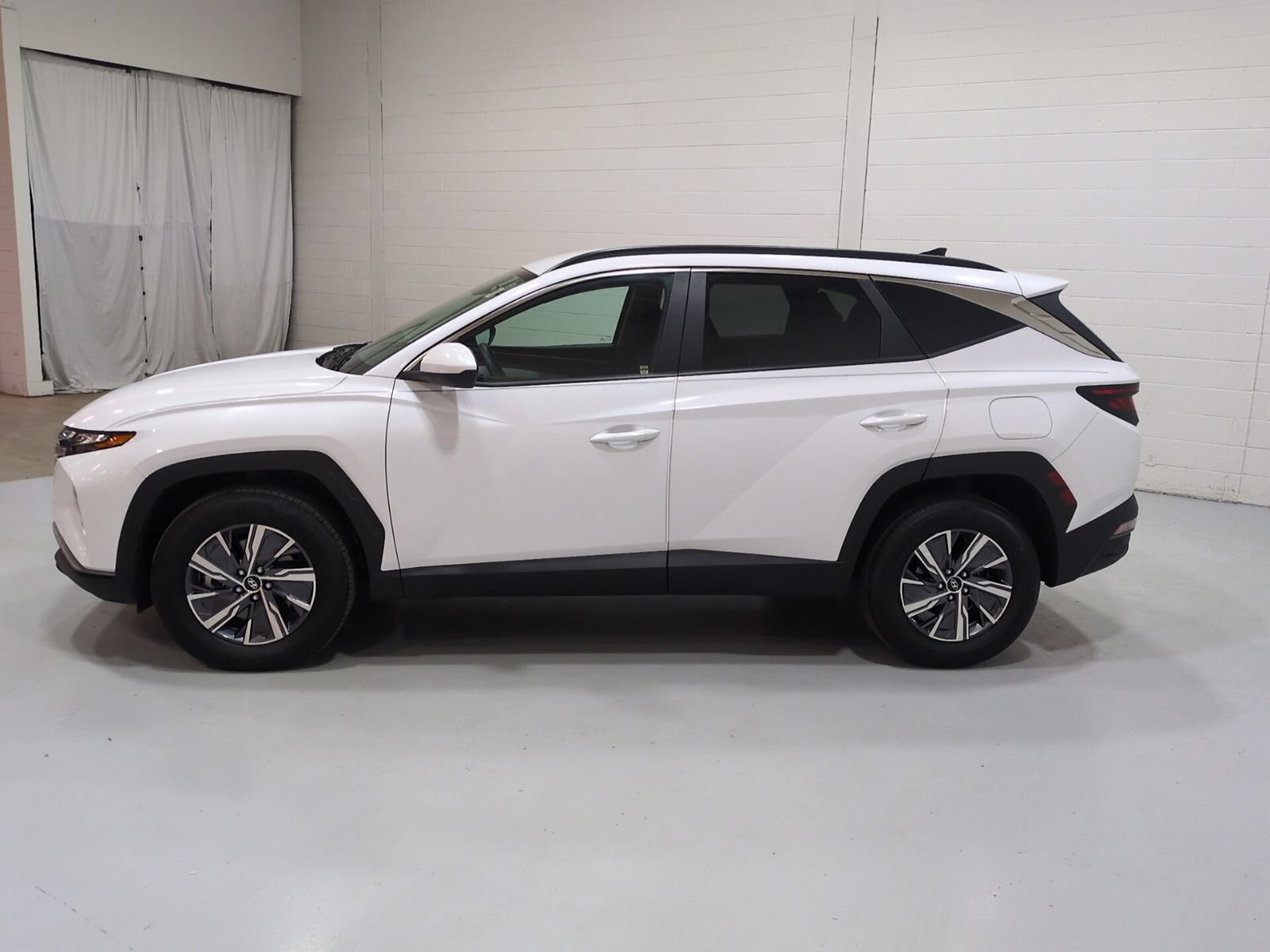 Certified 2024 Hyundai Tucson Blue AWD/4WD image 6