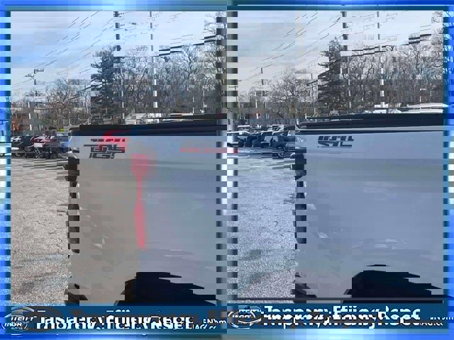 Used 2023 Chevrolet Silverado 1500 LT Trail Boss image 10