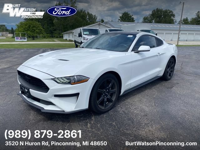 Used 2019 Ford Mustang Coupe w/ Equipment Group 101A