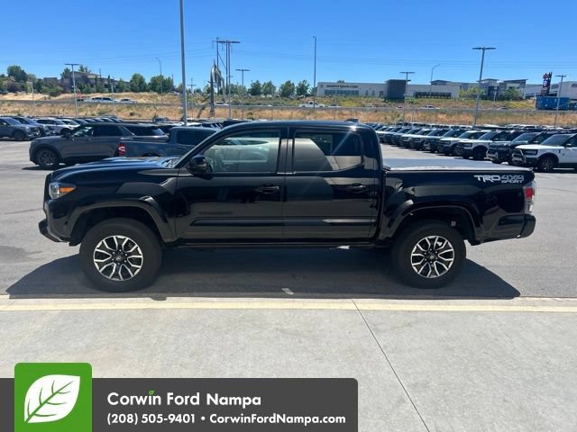 Used 2021 Toyota Tacoma TRD Sport w/ TRD Premium Sport Package AWD/4WD image 4