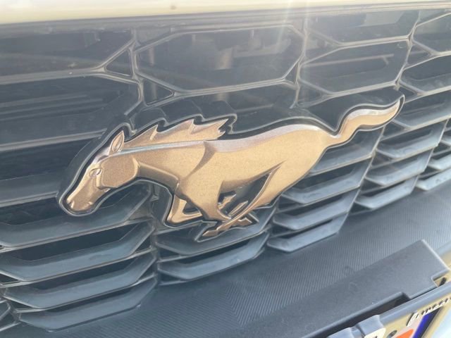 New 2026 Ford Mustang Coupe image 26