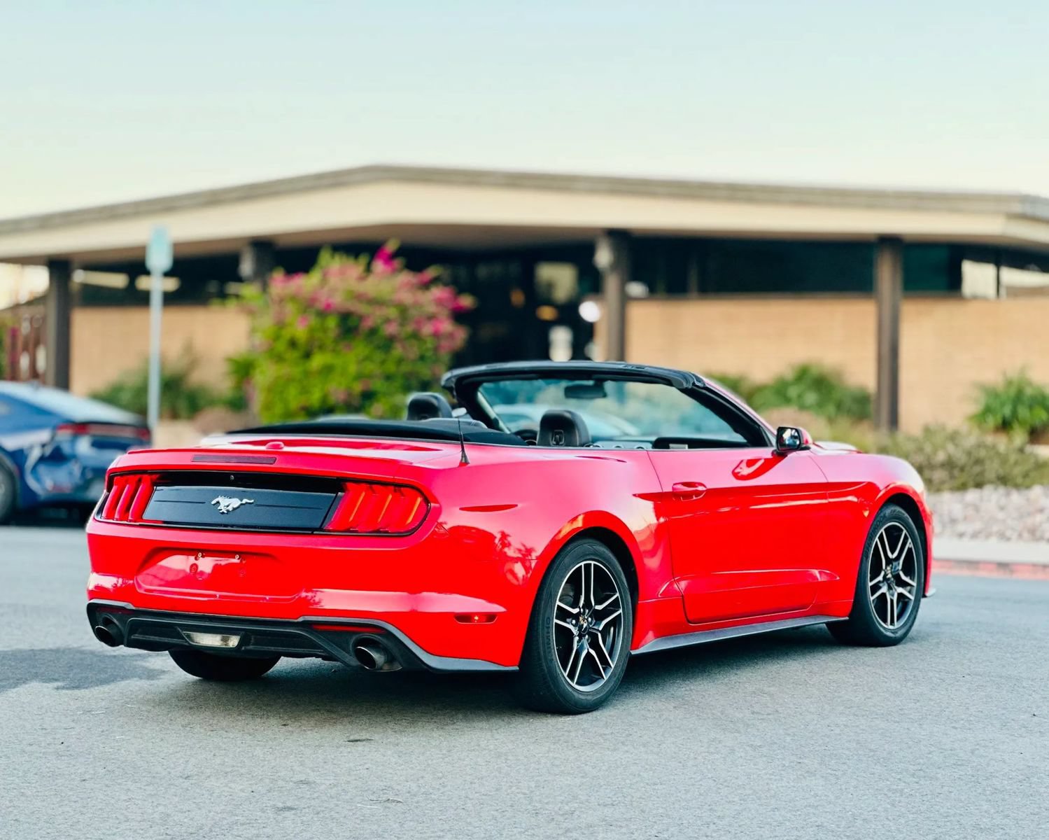 Used 2019 Ford Mustang Premium RWD image 6