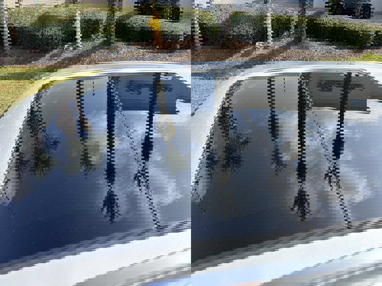 Certified 2025 Cadillac XT5 Premium Luxury image 11