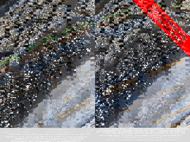 New 2026 Chevrolet Silverado 1500 LT image 12