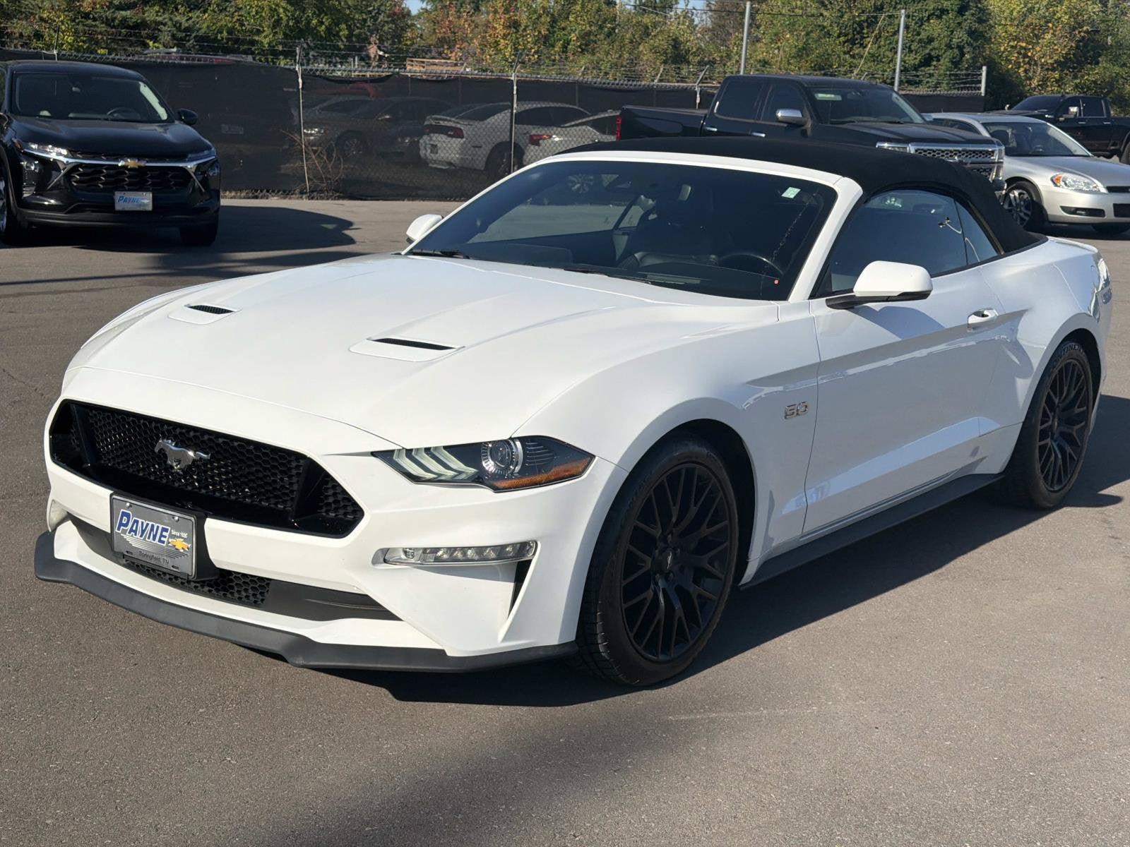 Used 2019 Ford Mustang GT RWD image 3