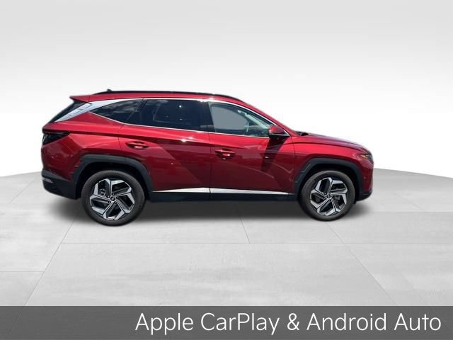 Used 2024 Hyundai Tucson Limited AWD/4WD image 8