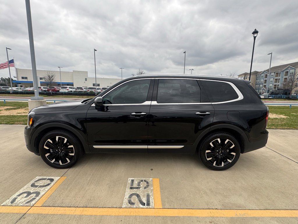 Used 2024 Kia Telluride SX image 5