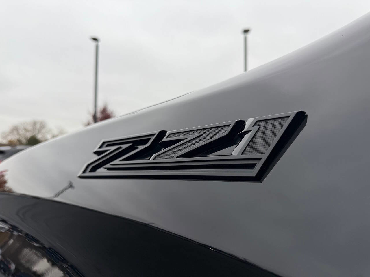 Used 2021 Chevrolet Silverado 1500 Custom Trail Boss w/ Realtree Special Edition image 11