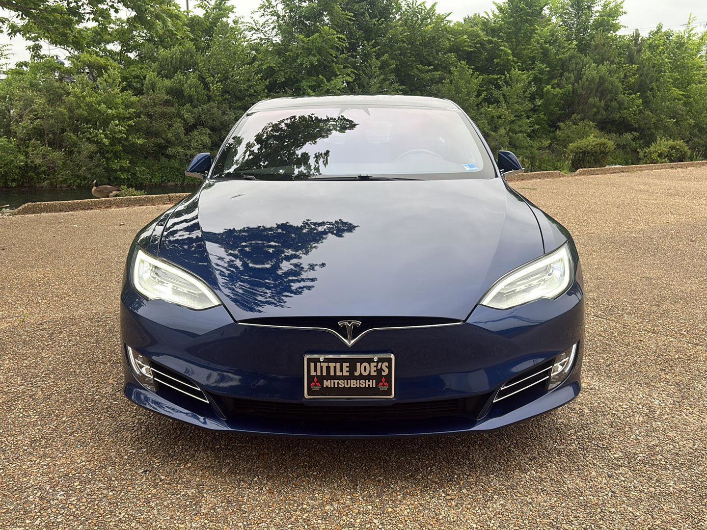 Used 2019 Tesla Model S 100D AWD/4WD image 13