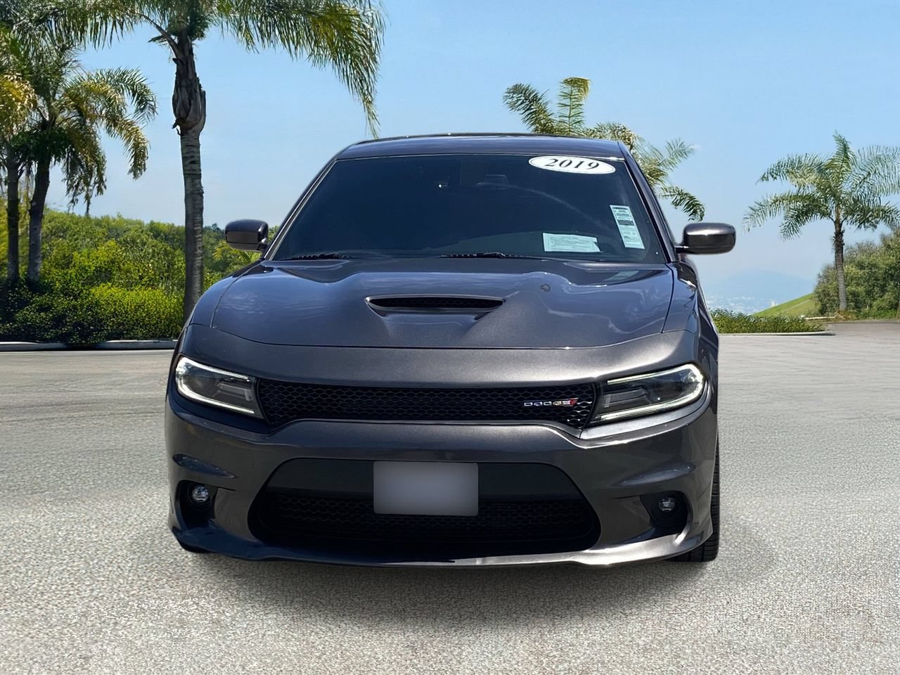 Used 2019 Dodge Charger R/T RWD image 7