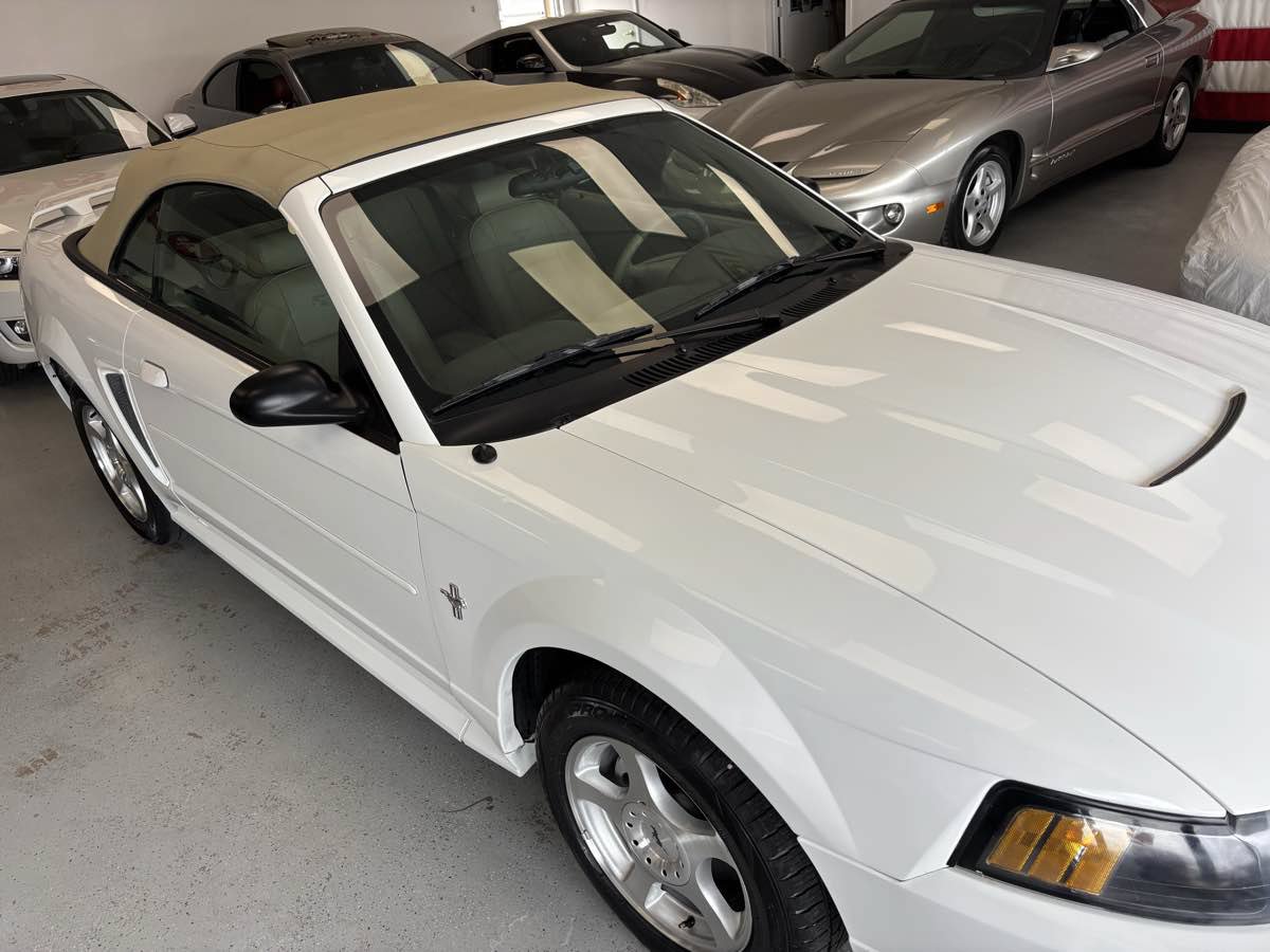 Used 2003 Ford Mustang Convertible RWD image 4