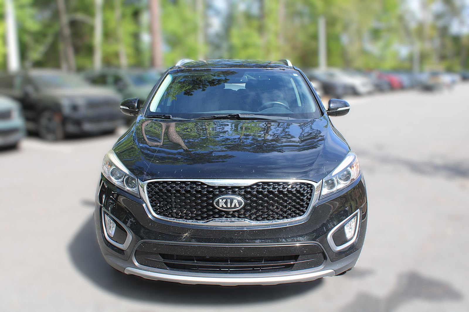 Used 2016 Kia Sorento EX image 16