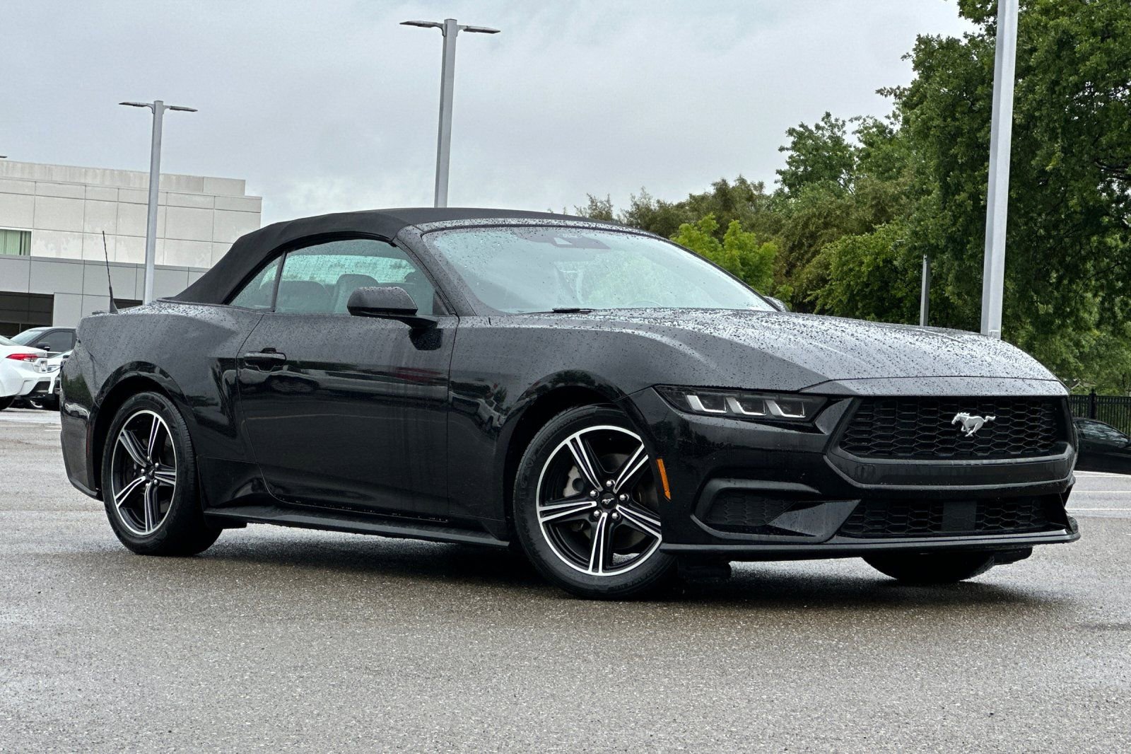 Used 2024 Ford Mustang Premium RWD image 10