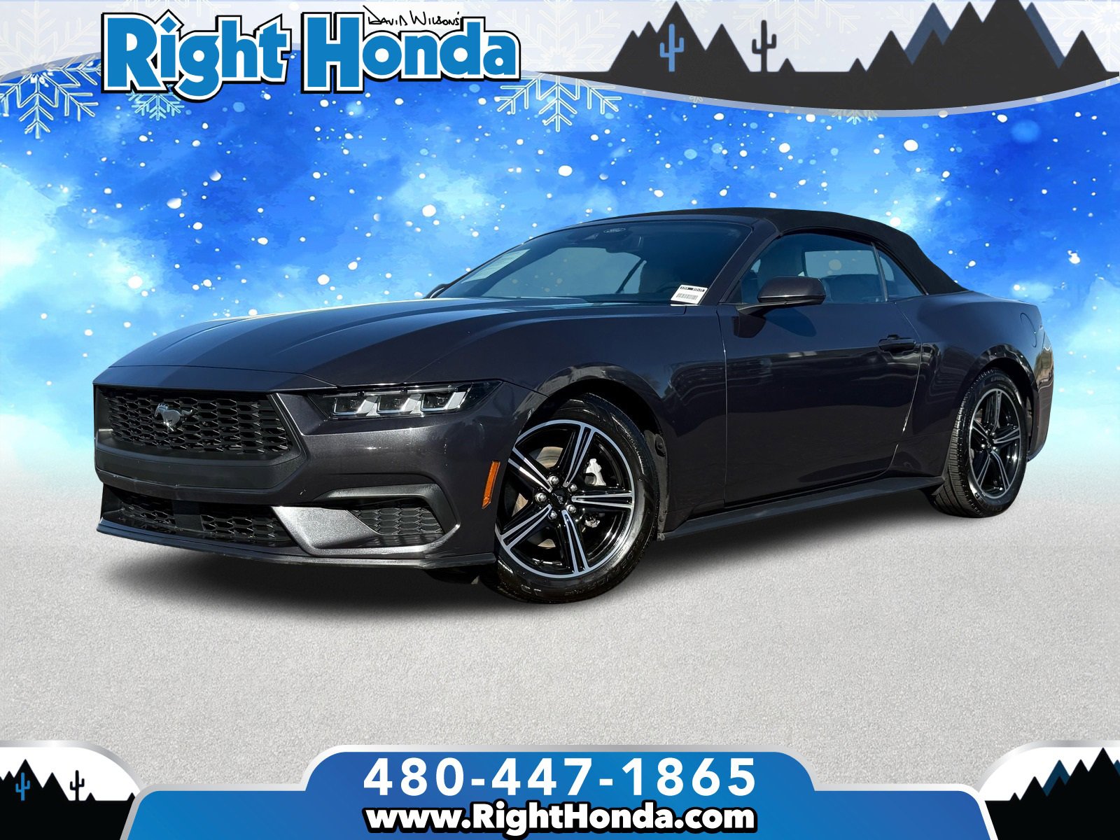Used 2024 Ford Mustang Premium